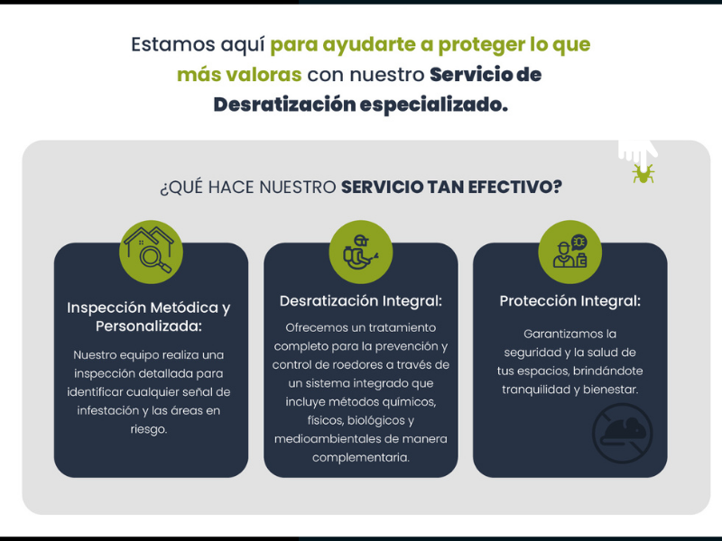 5 señales de que tienes un problema de roedores aunque nunca hayas visto uno - PLAGASUR® | Control de Plagas en Puerto Montt - Puerto Varas - Osorno - Castro