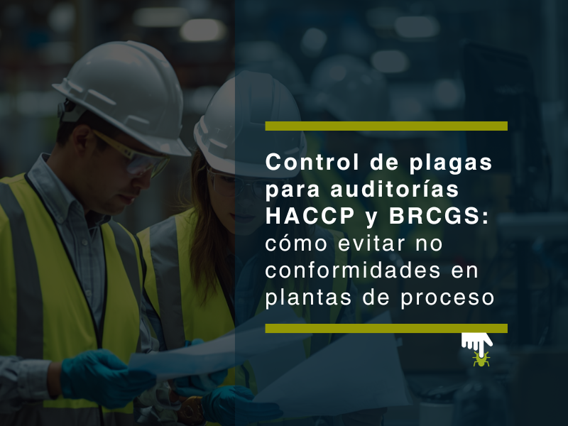 Control de plagas para auditorías HACCP y BRCGS: cómo evitar no conformidades en plantas de proceso - PLAGASUR® | Control de Plagas en Puerto Montt - Puerto Varas - Osorno - Castro