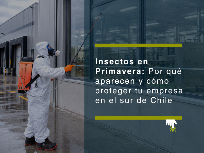 Insectos en Primavera: Por qué aparecen y cómo proteger tu empresa en el sur de Chile - PLAGASUR® | Control de Plagas en Puerto Montt - Puerto Varas - Osorno - Castro