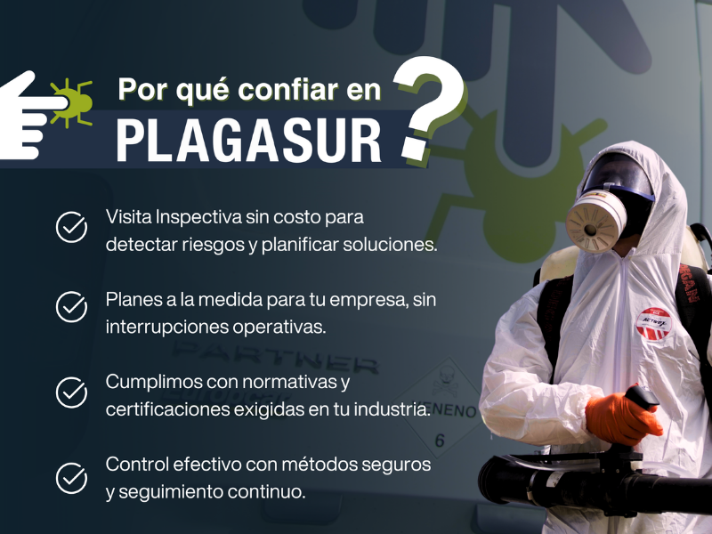 Lo que una inspección puede detectar antes de que aparezca una plaga - PLAGASUR® | Control de Plagas en Puerto Montt - Puerto Varas - Osorno - Castro