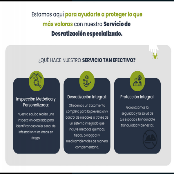 5 señales de que tienes un problema de roedores aunque nunca hayas visto uno - PLAGASUR® | Control de Plagas en Puerto Montt - Puerto Varas - Osorno - Castro