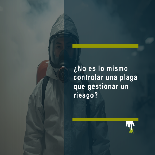 ¿No es lo mismo controlar una plaga que gestionar un riesgo? La diferencia que muchas empresas descubren demasiado tarde - PLAGASUR® | Control de Plagas en Puerto Montt - Puerto Varas - Osorno - Castro