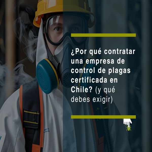 ¿Por qué contratar una empresa de control de plagas certificada en Chile? (y qué debes exigir) - PLAGASUR® | Control de Plagas en Puerto Montt - Puerto Varas - Osorno - Castro