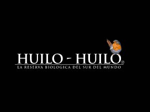 Huilo Huilo - PLAGASUR® | Control de Plagas en Puerto Montt - Puerto Varas - Osorno - Castro