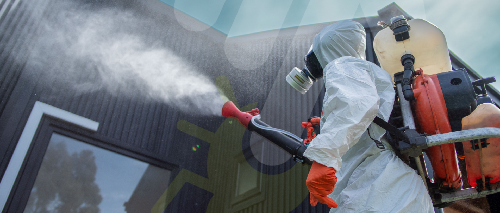 PLAGASUR® | Control de Plagas en Puerto Montt - Puerto Varas - Osorno - Castro | DESINSECTACIÓN