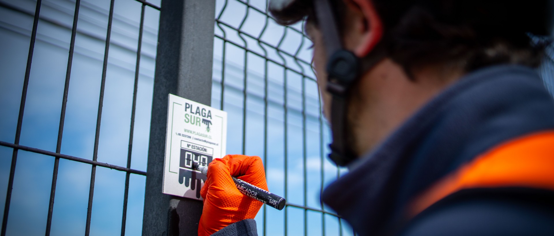 PLAGASUR® | Control de Plagas en Puerto Montt - Puerto Varas - Osorno - Castro | DESRATIZACIÓN