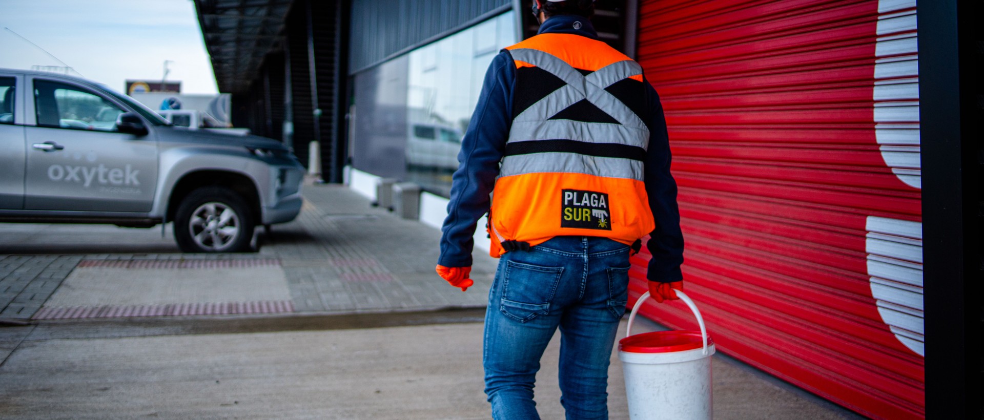 PLAGASUR® | Control de Plagas en Puerto Montt - Puerto Varas - Osorno - Castro | DESRATIZACIÓN
