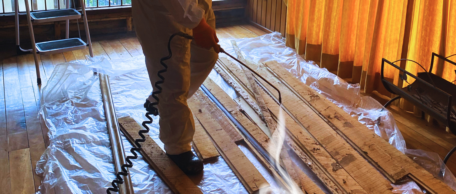 PLAGASUR® | Control de Plagas en Puerto Montt - Puerto Varas - Osorno - Castro | TRATAMIENTO INSECTOS XILÓFAGOS